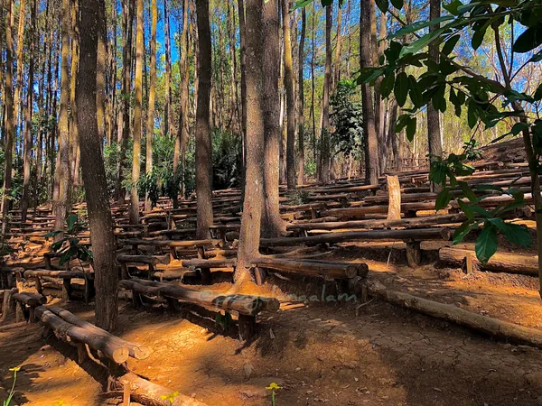 Hutan Pinus Mangunan